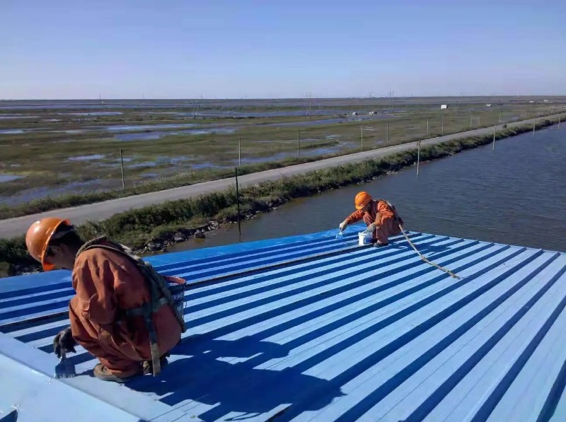 仓山钢结构屋面漏水原因